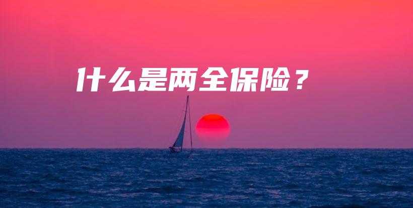 什么是两全保险？-保点通
