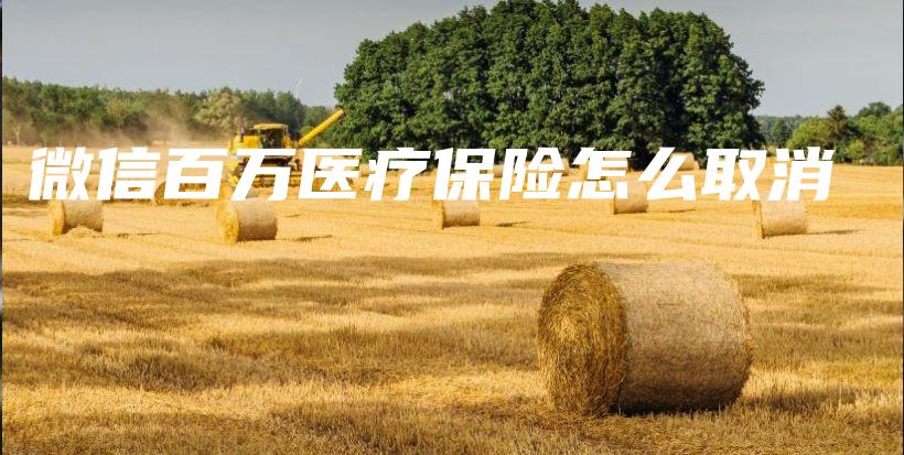 微信百万医疗保险怎么取消-保点通