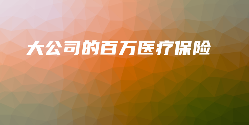 大公司的百万医疗保险-保点通