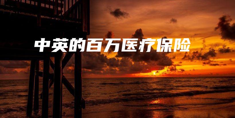 中英的百万医疗保险-保点通