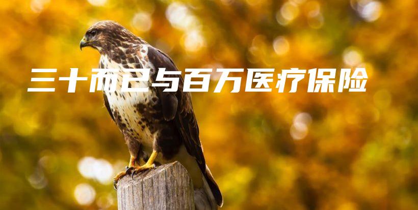 三十而已与百万医疗保险-保点通