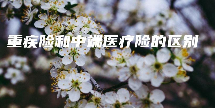 重疾险和中端医疗险的区别-保点通
