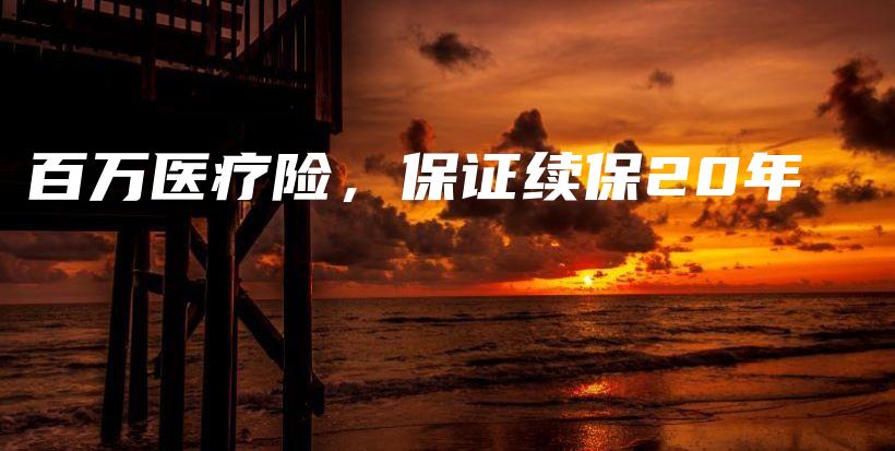 百万医疗险，保证续保20年-保点通