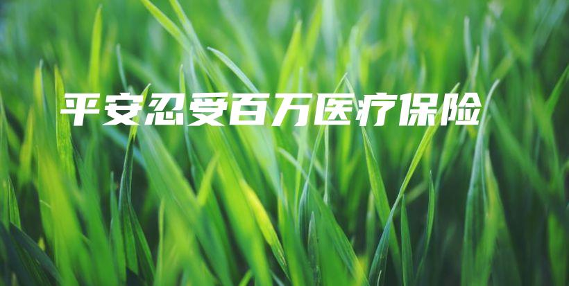 平安忍受百万医疗保险-保点通
