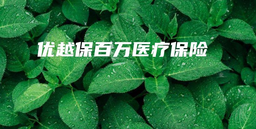 优越保百万医疗保险-保点通