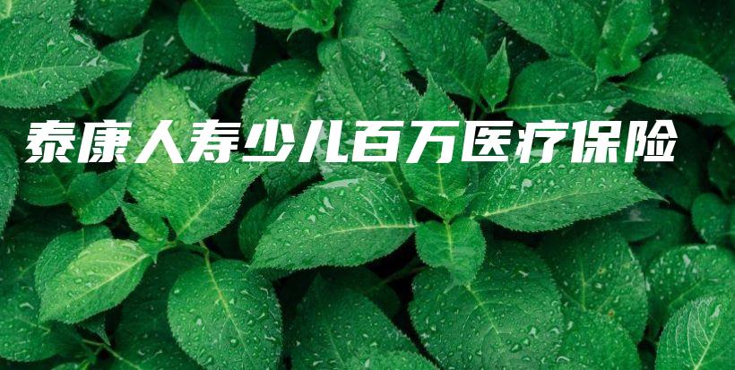 泰康人寿少儿百万医疗保险-保点通