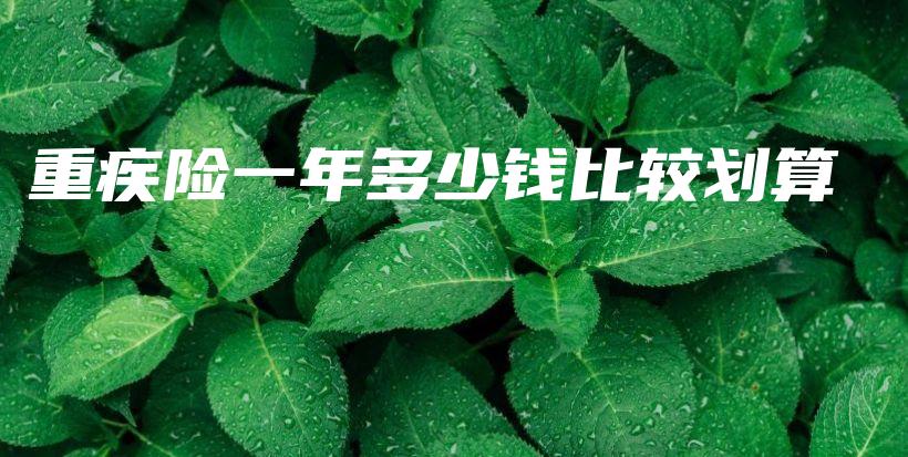 重疾险一年多少钱比较划算插图 重疾险一年多少钱比较划算插图