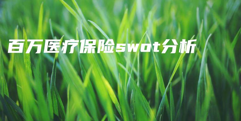 百万医疗保险swot分析-保点通