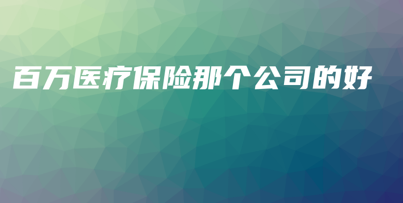 百万医疗保险那个公司的好-保点通