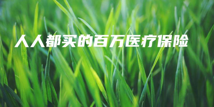 人人都买的百万医疗保险-保点通