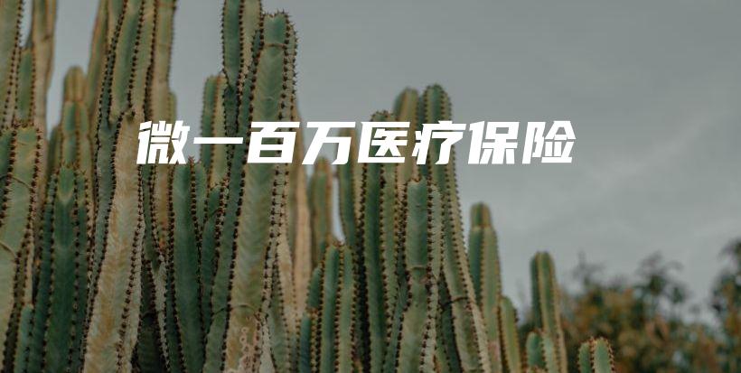 微一百万医疗保险-保点通