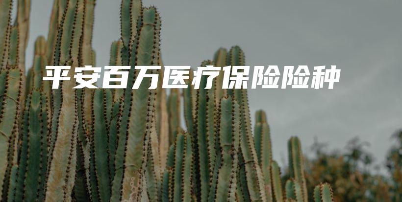 平安百万医疗保险险种-保点通