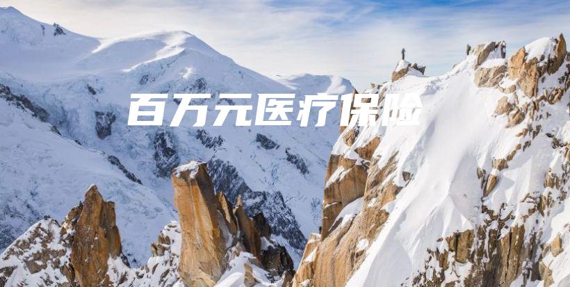 百万元医疗保险-保点通