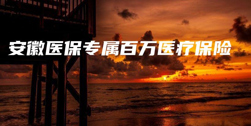 安徽医保专属百万医疗保险-保点通