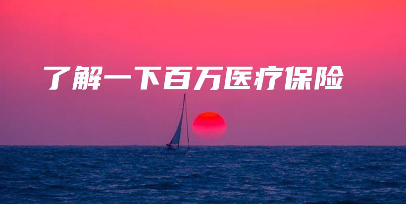 了解一下百万医疗保险-保点通