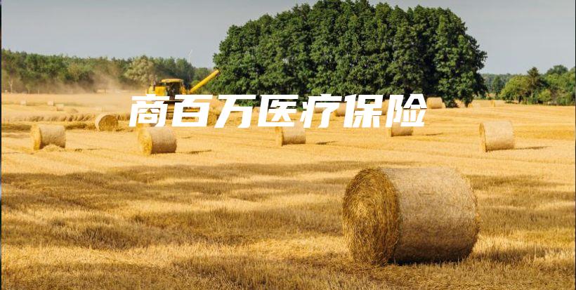 商百万医疗保险-保点通