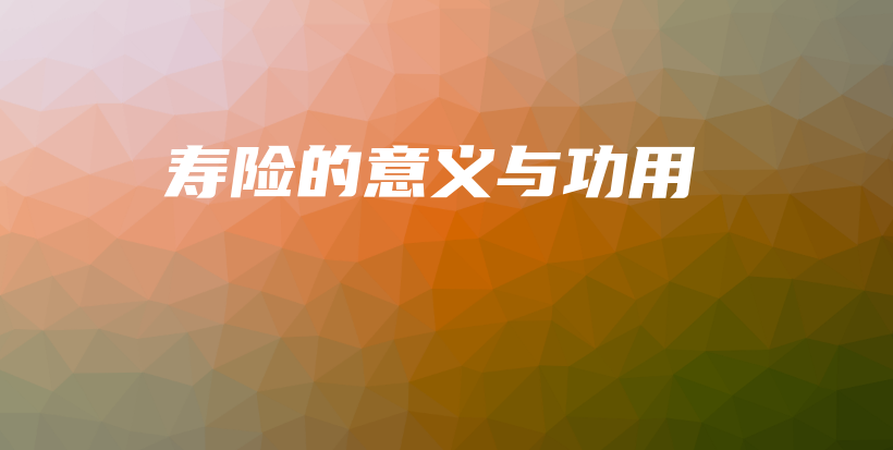 寿险的意义与功用-保点通