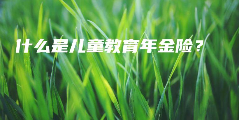 什么是儿童教育年金险？-保点通