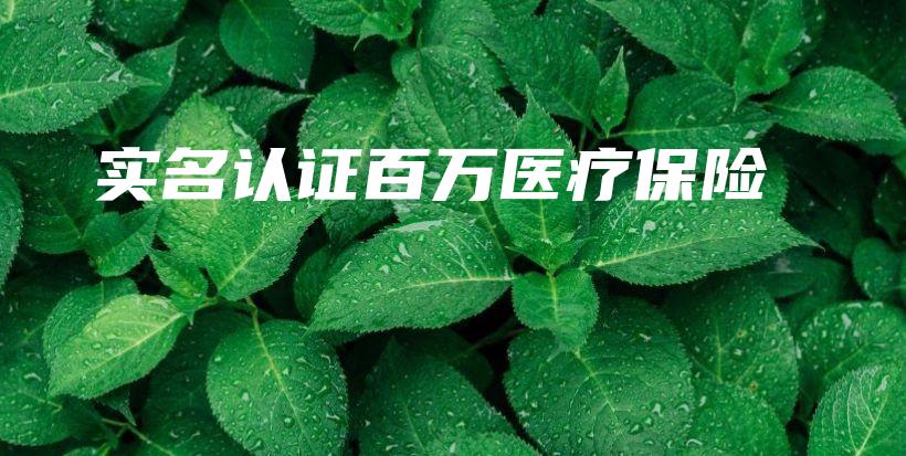 实名认证百万医疗保险-保点通
