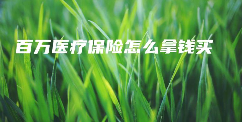 百万医疗保险怎么拿钱买-保点通