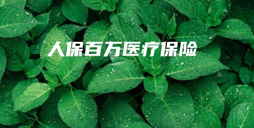 人保百万医疗保险-保点通