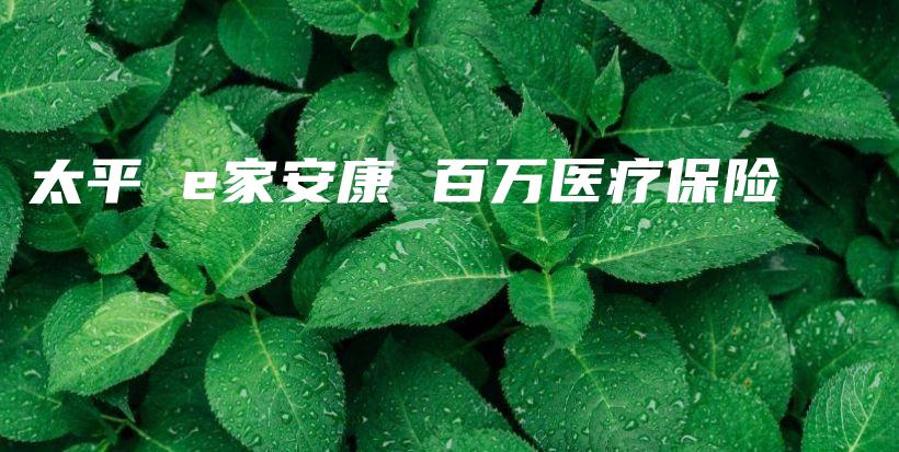 太平 e家安康 百万医疗保险-保点通