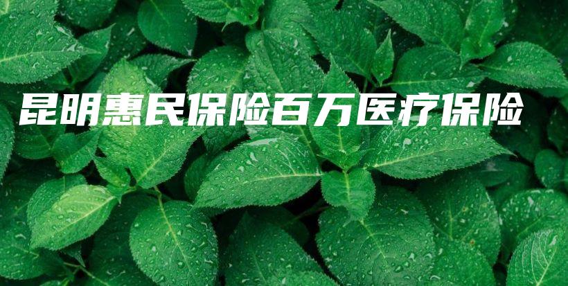 昆明惠民保险百万医疗保险-保点通