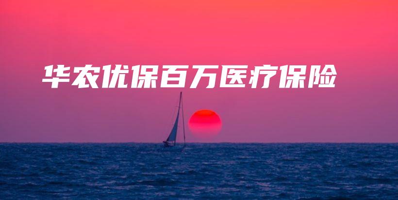 华农优保百万医疗保险-保点通