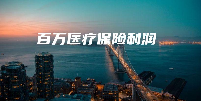 百万医疗保险利润-保点通