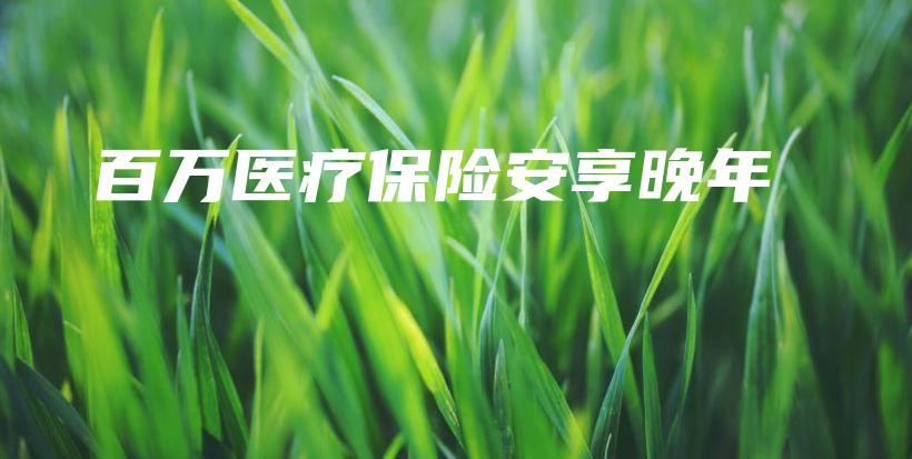 百万医疗保险安享晚年-保点通