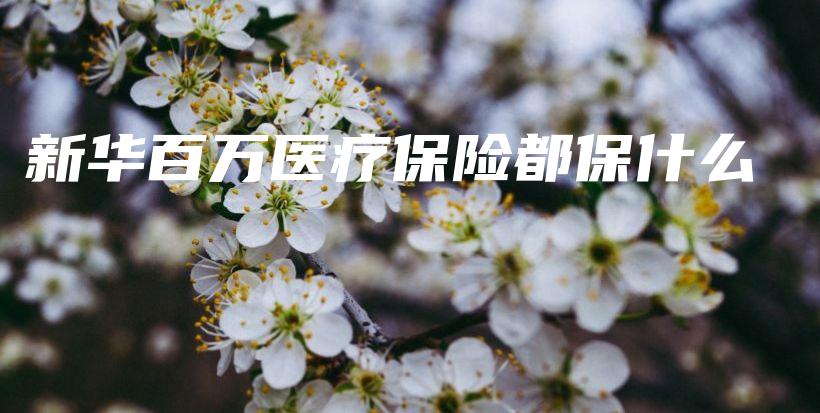 新华百万医疗保险都保什么-保点通