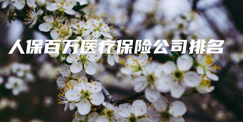 人保百万医疗保险公司排名-保点通