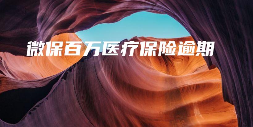 微保百万医疗保险逾期-保点通