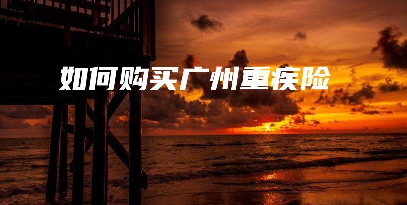 如何购买广州重疾险-保点通