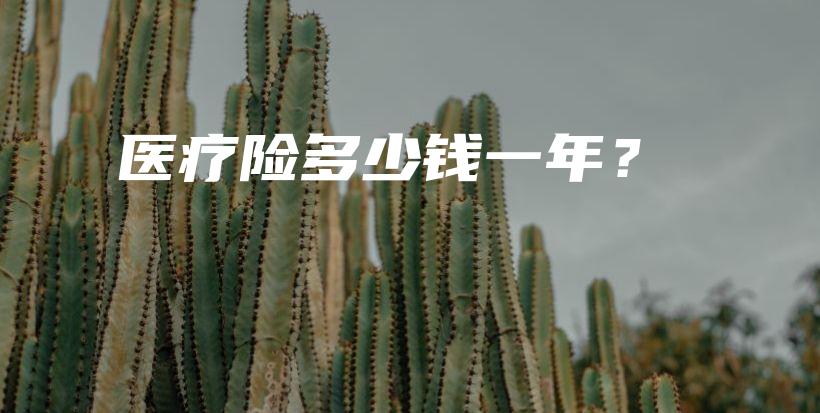 医疗险多少钱一年？-保点通