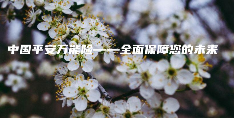 中国平安万能险——全面保障您的未来-保点通