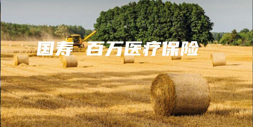 国寿 百万医疗保险-保点通