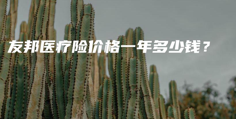友邦医疗险价格一年多少钱？-保点通