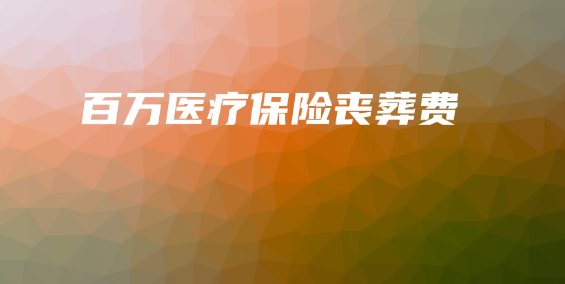 百万医疗保险丧葬费-保点通