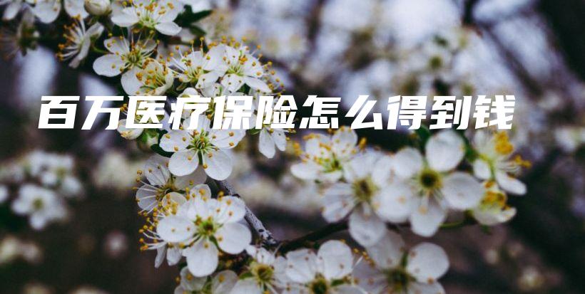 百万医疗保险怎么得到钱-保点通