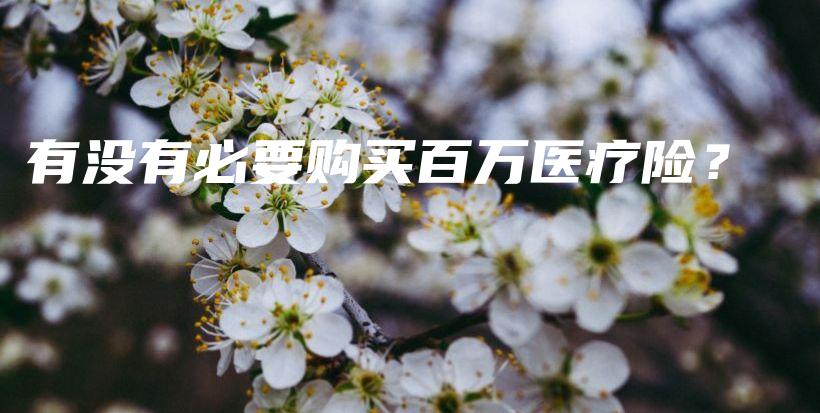 有没有必要购买百万医疗险？-保点通