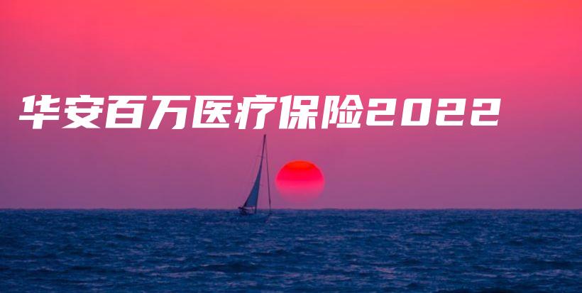 华安百万医疗保险2022-保点通
