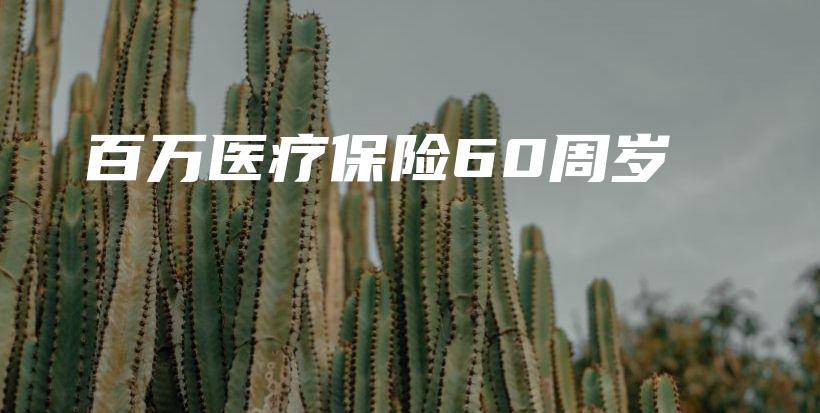 百万医疗保险60周岁-保点通