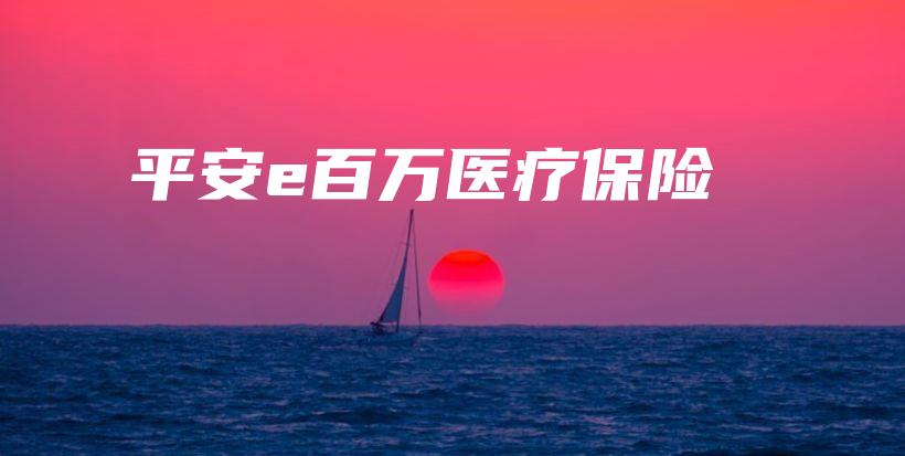 平安e百万医疗保险-保点通