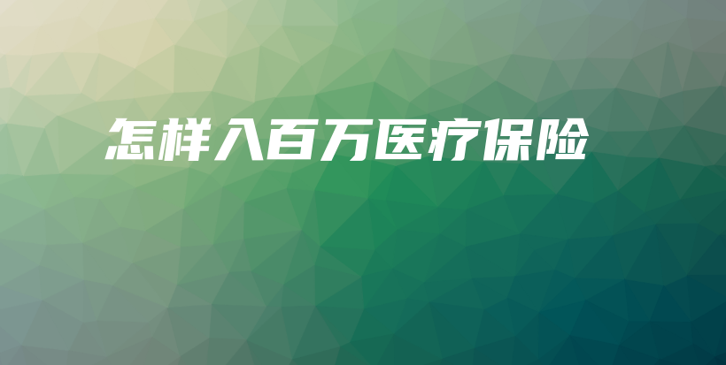 怎样入百万医疗保险-保点通