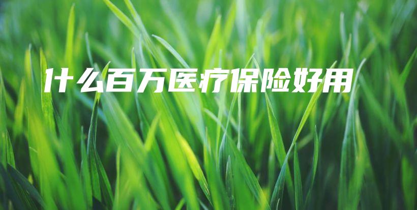 什么百万医疗保险好用-保点通