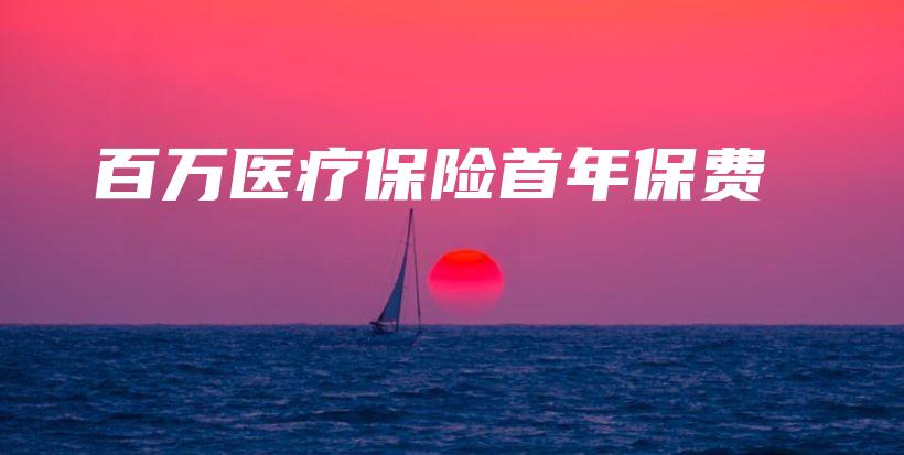 百万医疗保险首年保费-保点通