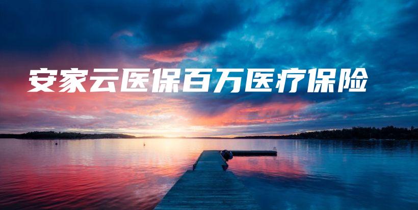 安家云医保百万医疗保险-保点通