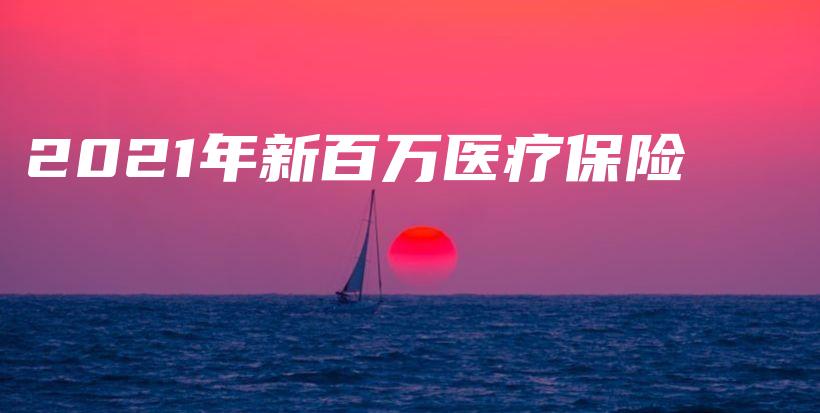 2021年新百万医疗保险-保点通