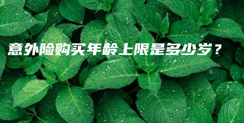 意外险购买年龄上限是多少岁？-保点通